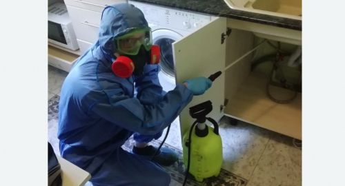 Уничтожение муравьев в квартире. Зеленокумск