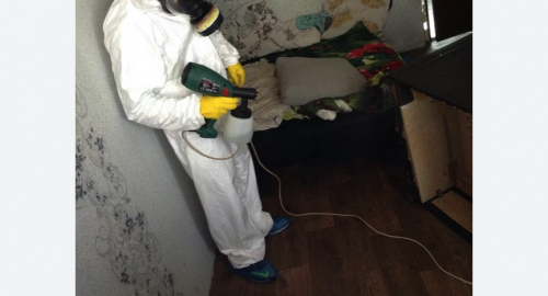 Обработка квартир от насекомых в Зеленокумске