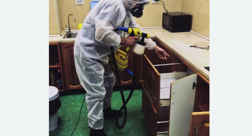 Дезинсекция квартиры. Зеленокумск