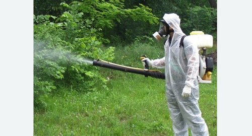 Дезинфекция территории от клещей. Зеленокумск