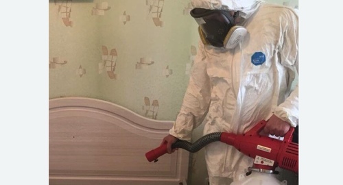 Уничтожение клещей в квартире. Зеленокумск