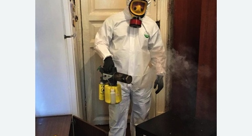 Дезинфекция от муравьев в квартире в Зеленокумске