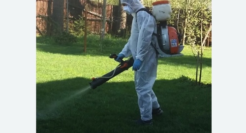 Обработка участка от клещей в Зеленокумске