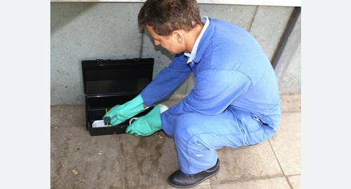 Уничтожение мышей в квартире в Зеленокумске