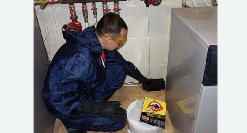 Дератизация крыс. Зеленокумск