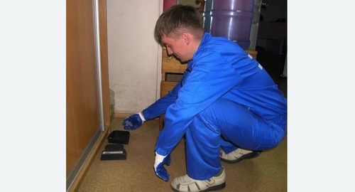 Обработка от крыс в Зеленокумске