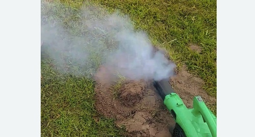 Обработка от кротов в Зеленокумске