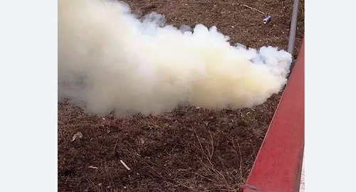 Уничтожение кротов на участке в Зеленокумске