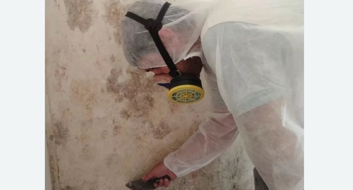 Обработка стен от плесени в Зеленокумске