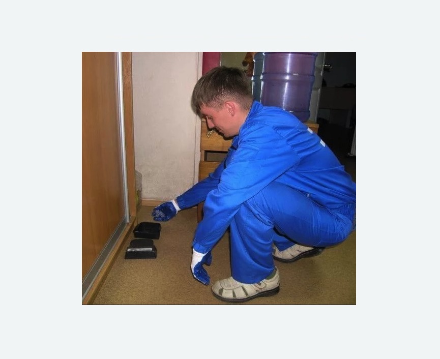 Дератизация крыс в Зеленокумске