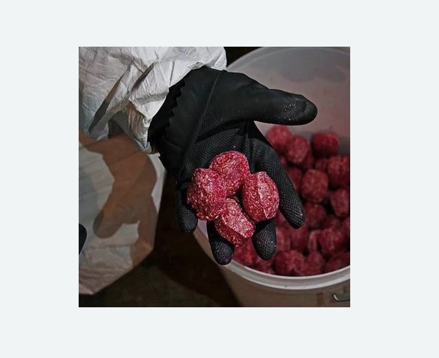 Обработка от крыс в Зеленокумске