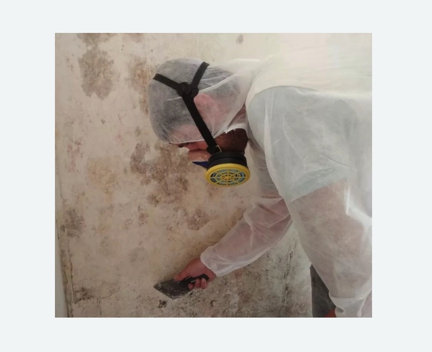 Обработка стен от плесени в Зеленокумске