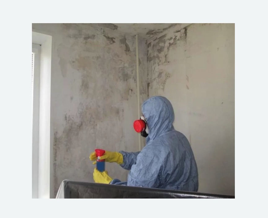 Удаление плесени в квартире в Зеленокумске