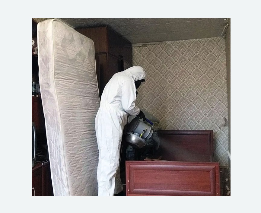 дезинфекция от клопов в Зеленокумске