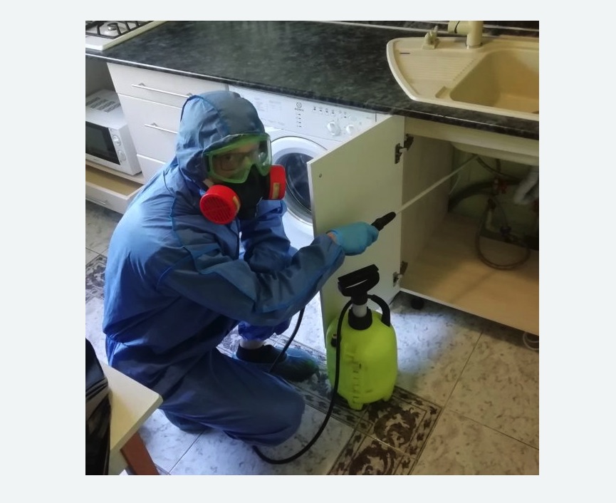 обработка от муравьев в квартире в Зеленокумске