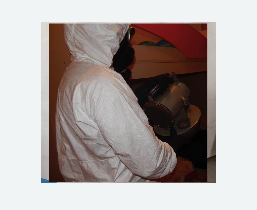 Дезинфекция от муравьев в Зеленокумске